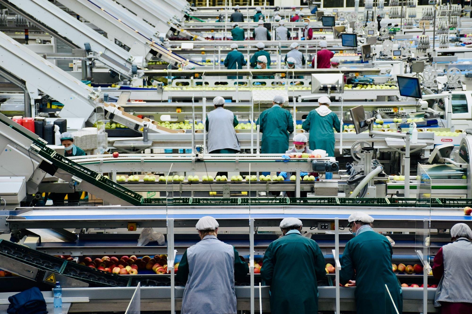 Manufacturing & Industrial